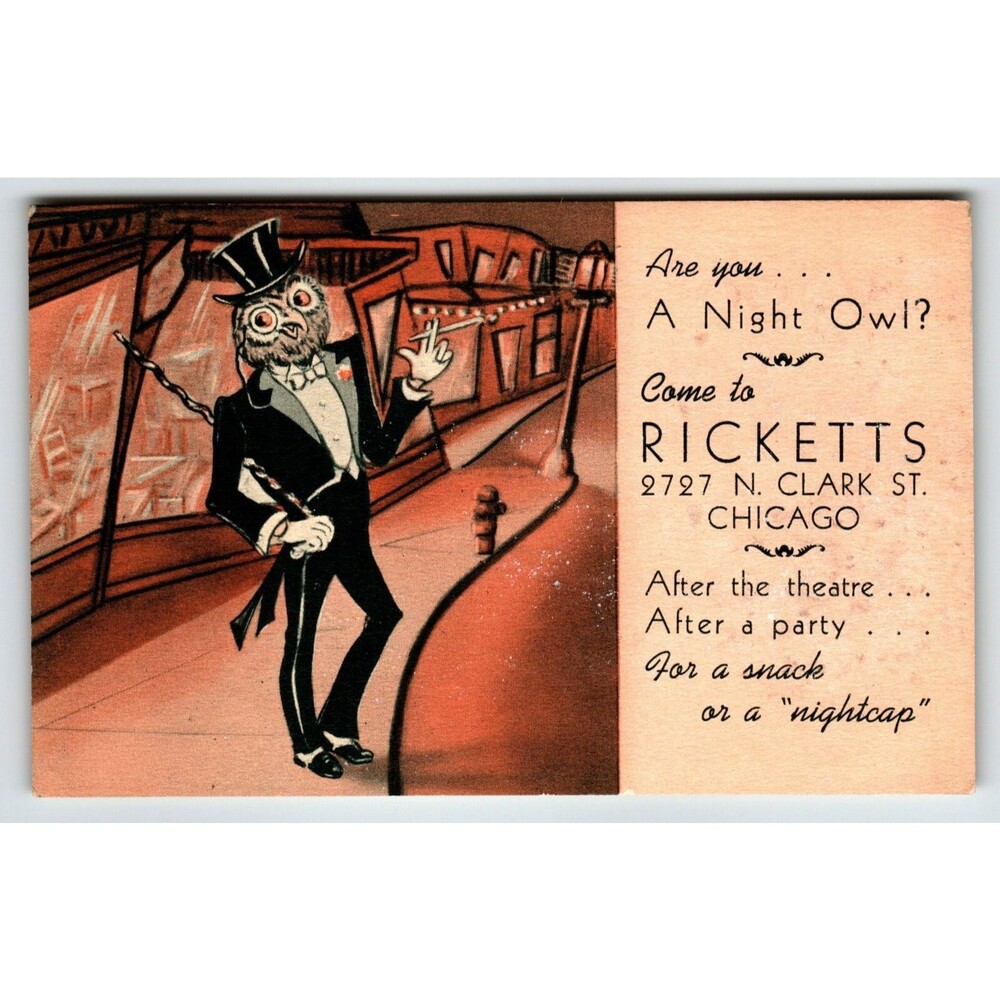 Dressed Night Owl Fantasy Postcard Ricketts Bar Pub Chicago Anthropomorphic